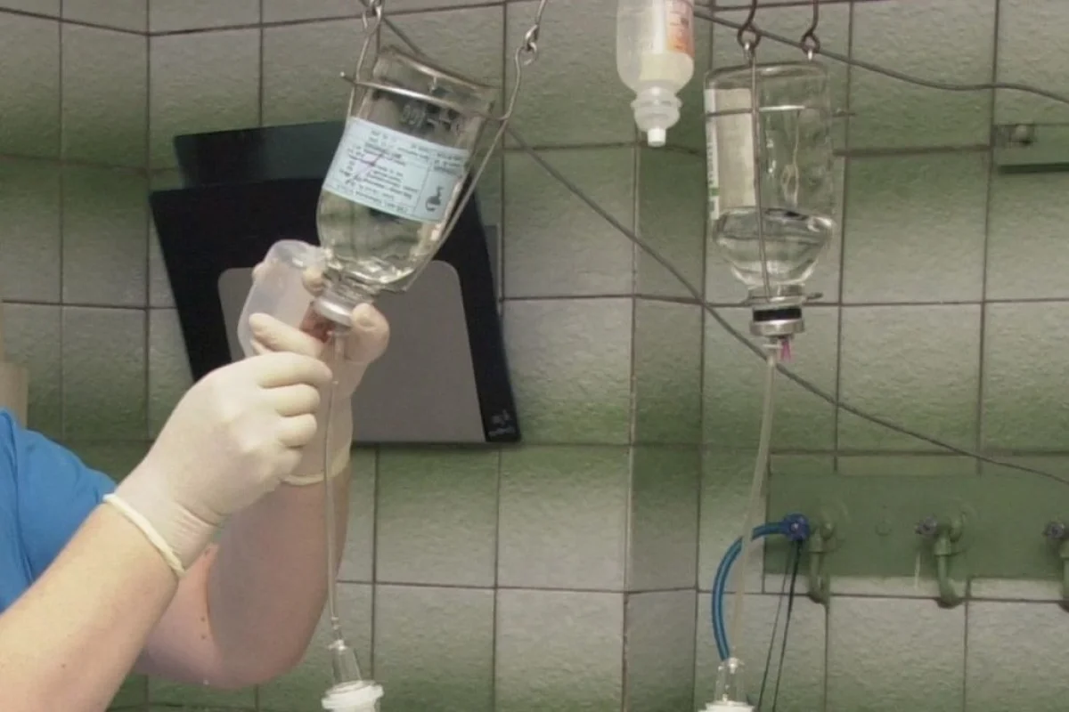 Фото: istockphoto.com