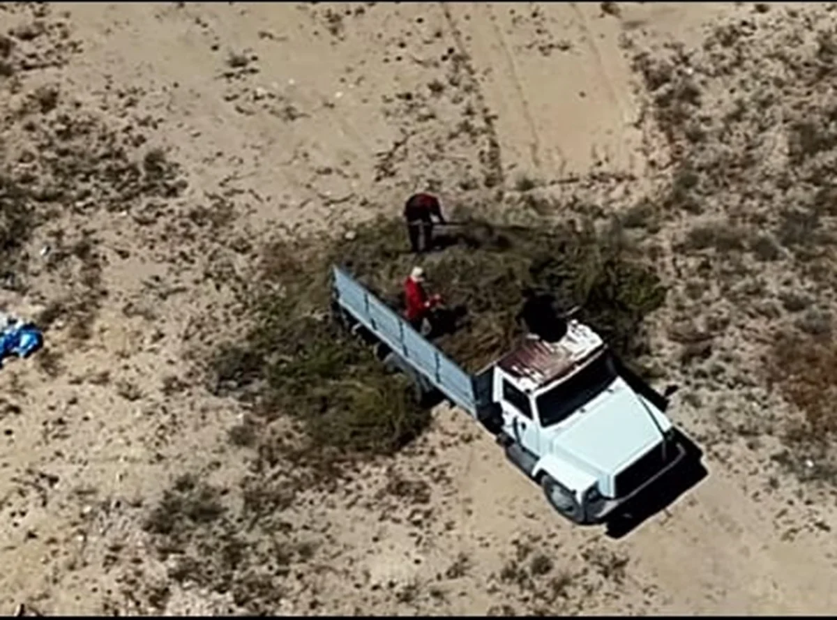 Фото: стоп-кадр из видео