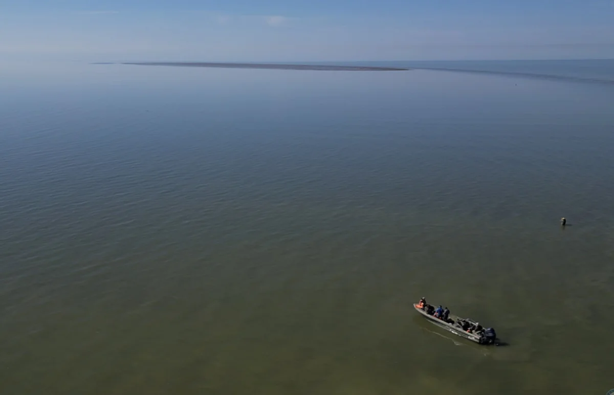 Новый остров. Фото: Ю. Шульгина/РАН