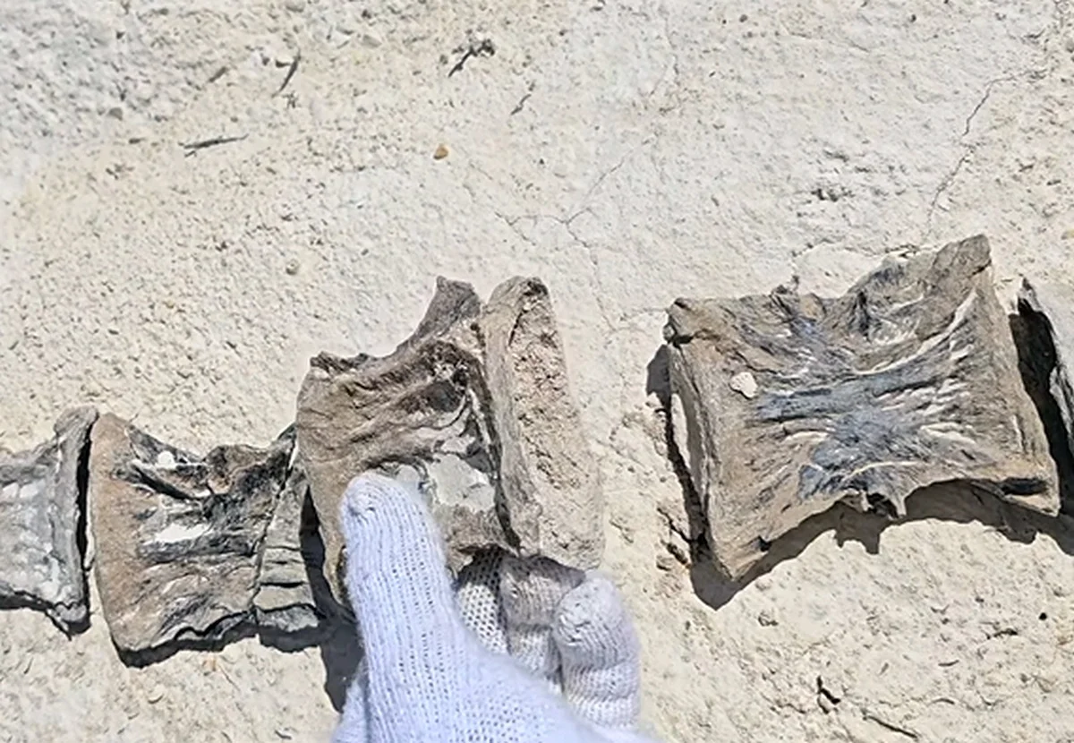 Фото: кадр видео