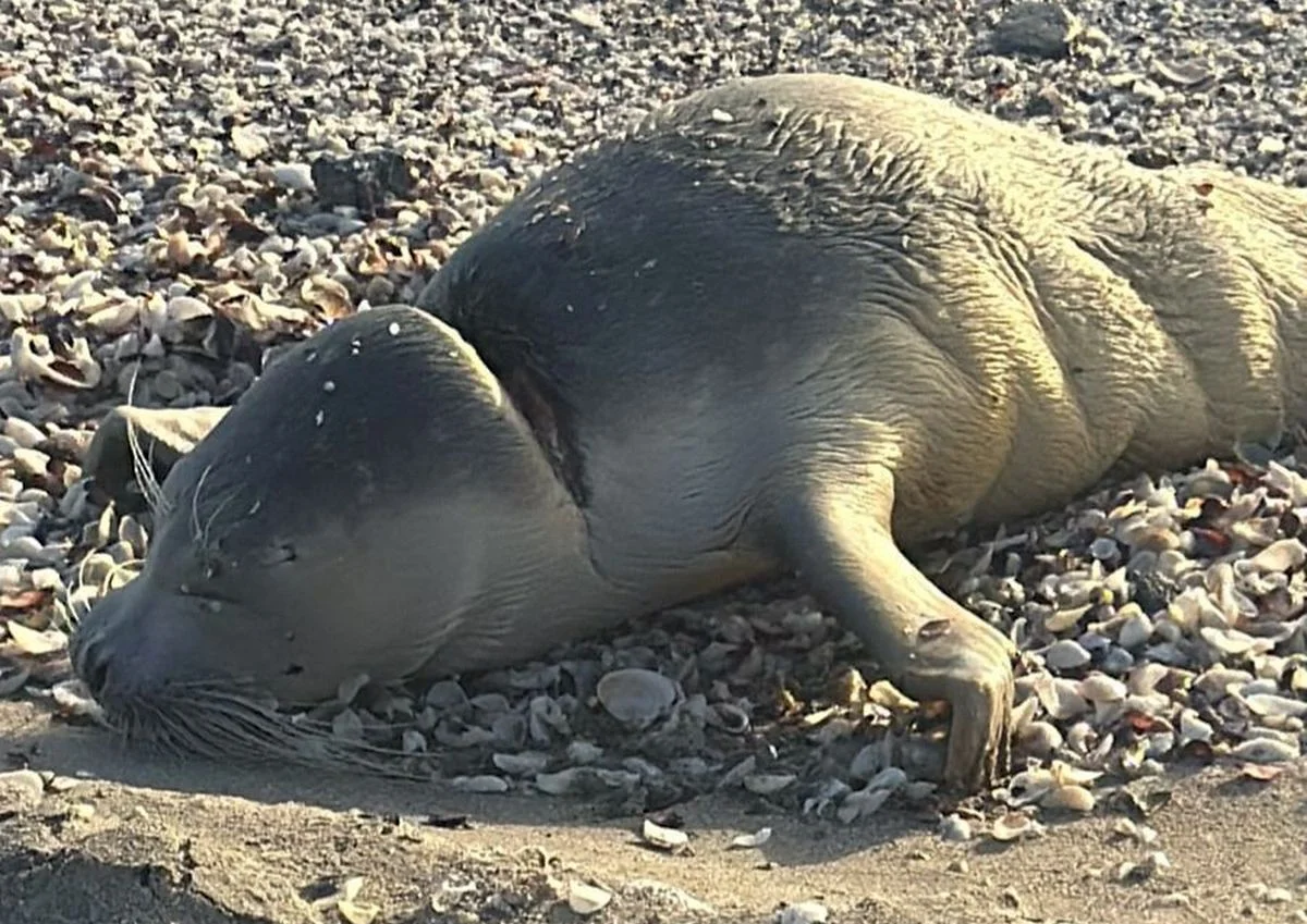 Фото местных жителей