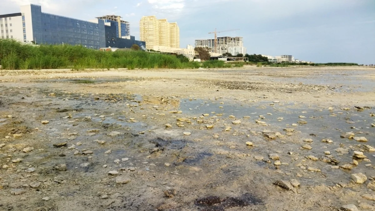 фото из архива Lada.kz