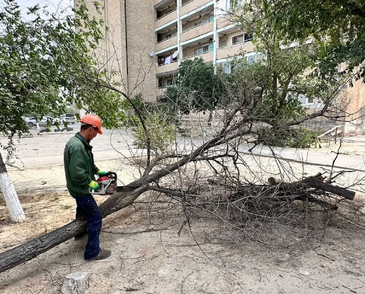 Фото ТОО «Green City Aktau»