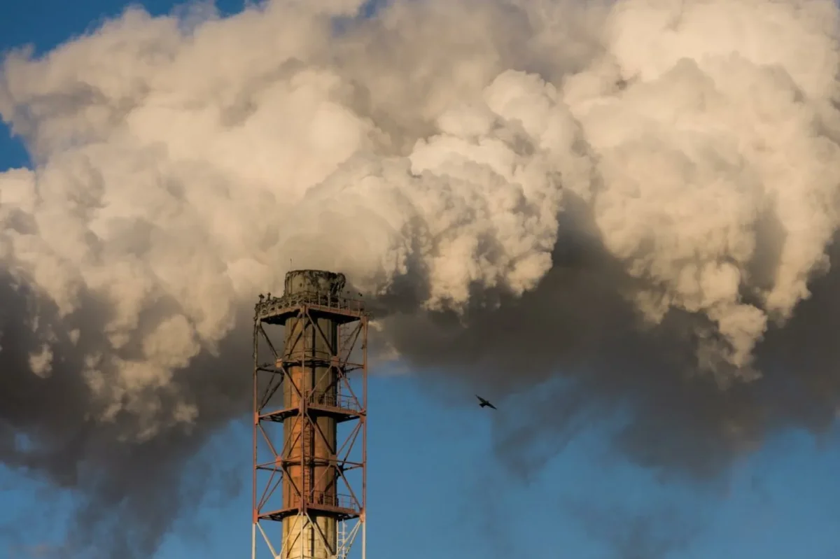 Фото: asia24.media