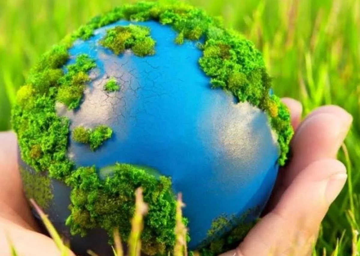 Фото с сайта oren.ru