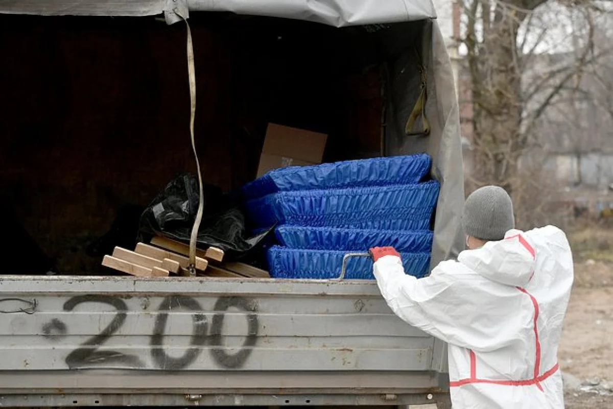 Фото: Евгений Биятов / РИА Новости