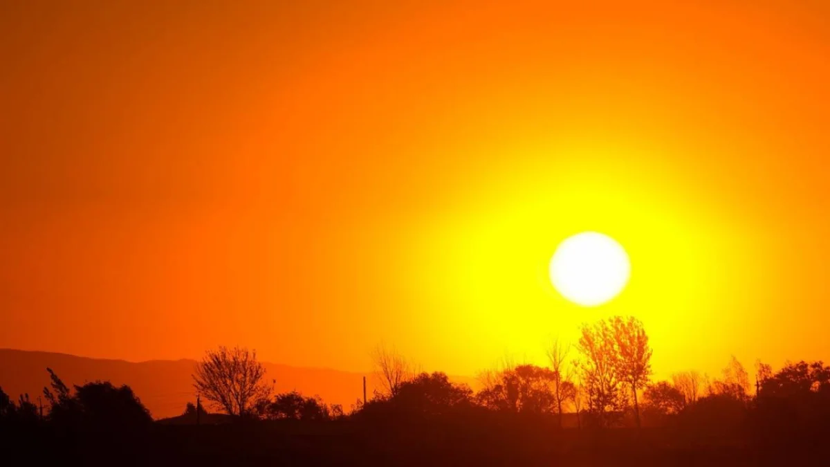 Фото pixabay.com