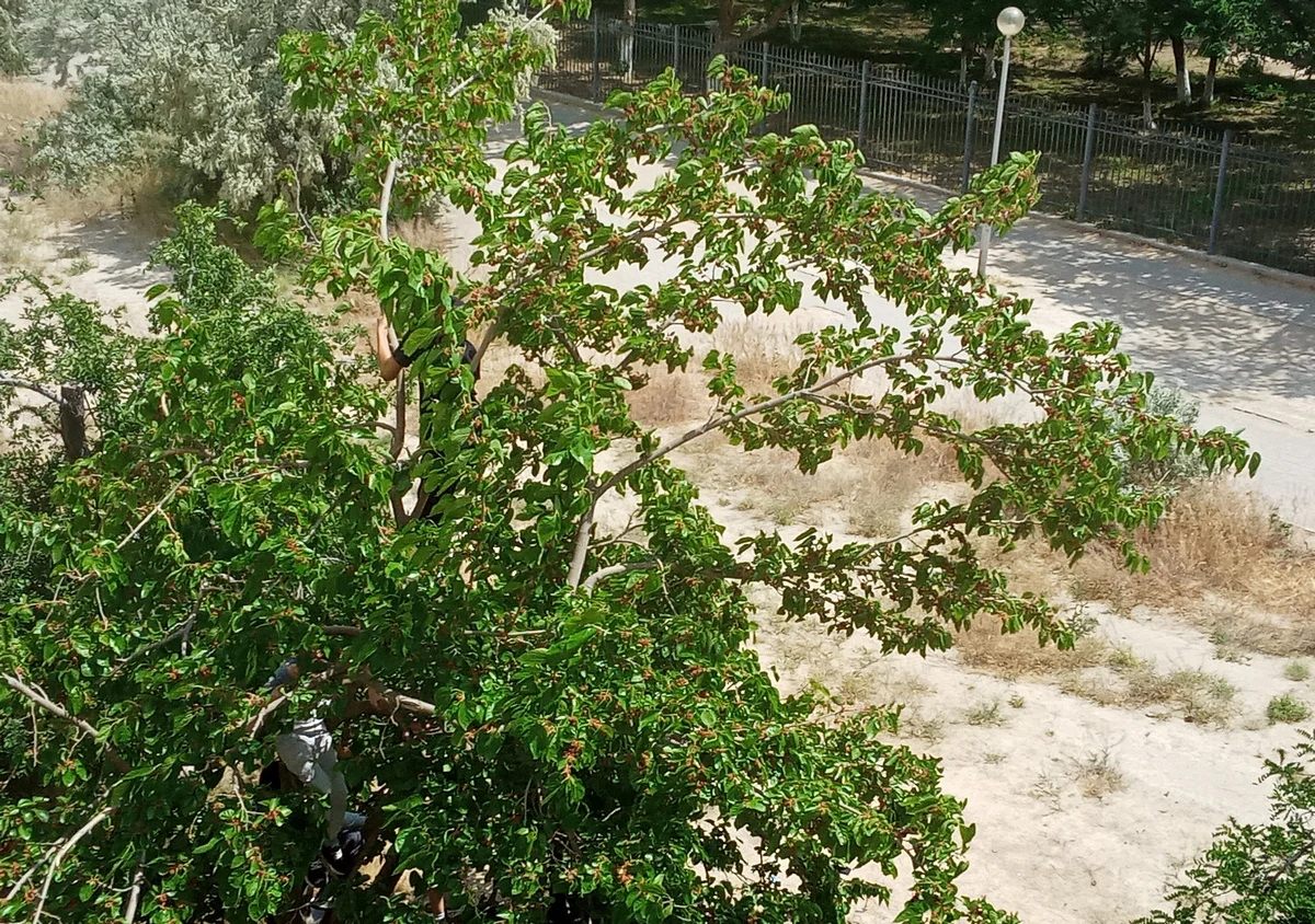 Фото жителей дома №37