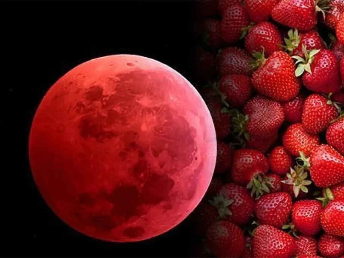 Фото: pixabay.com