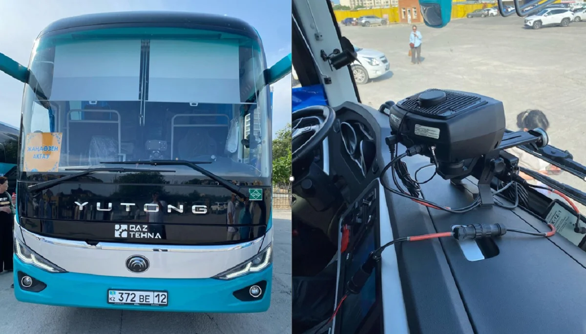 Коллаж автора. Фото ЦОК региона