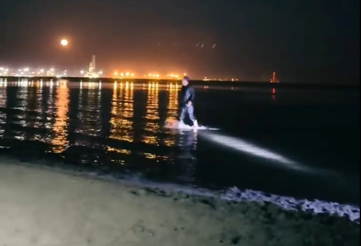 Фото: скриншот из видео