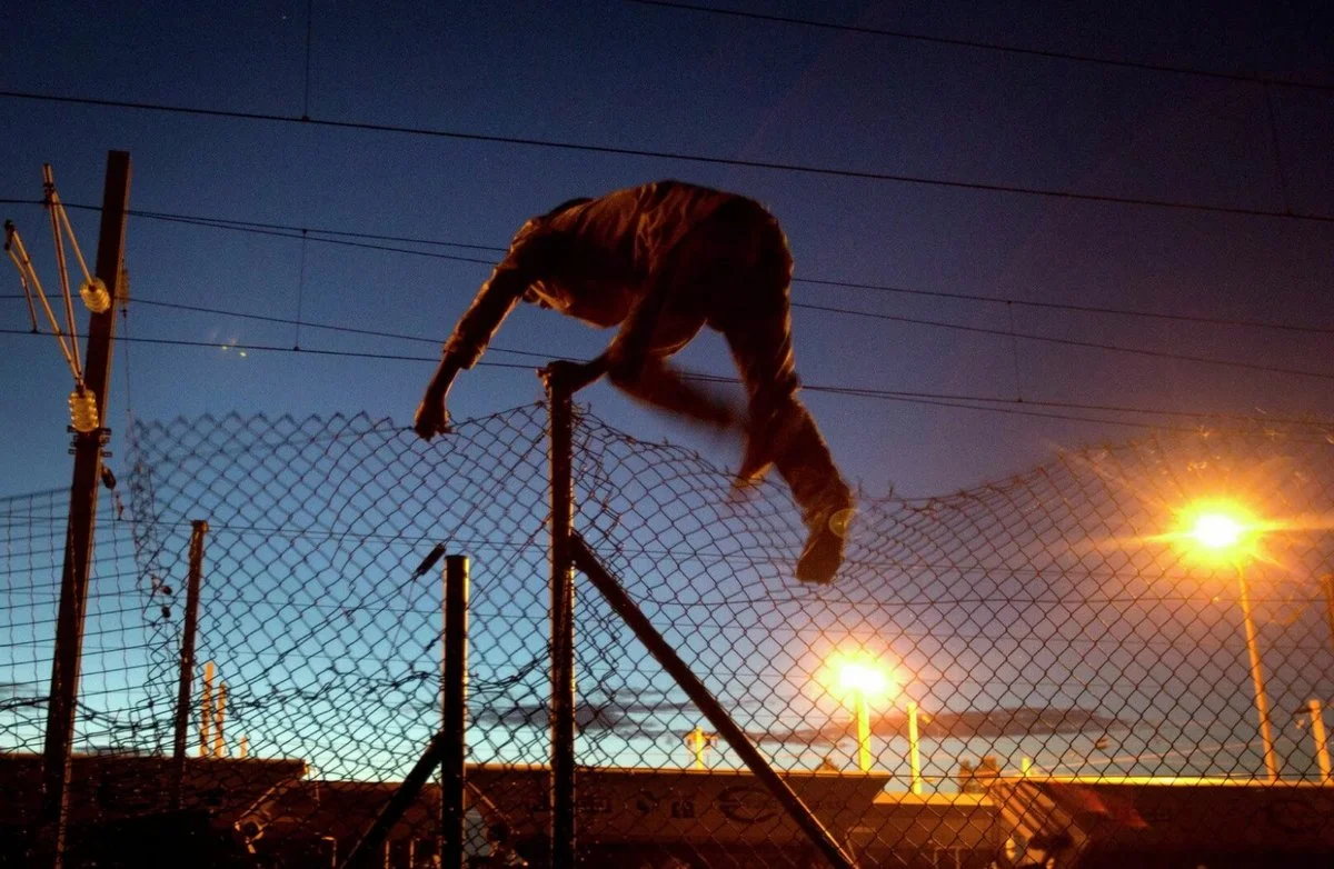 Фото: avatars.mds.yandex.net