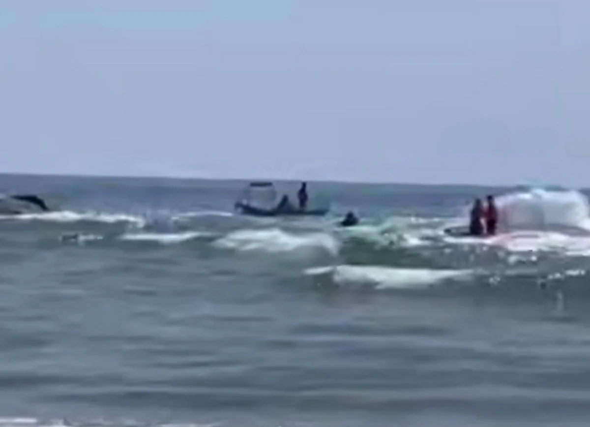 Фото: кадр видео