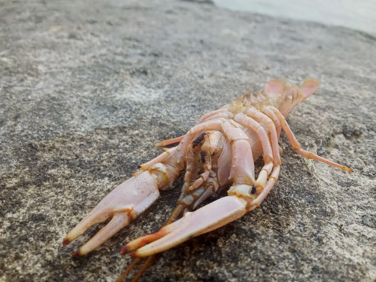 Фото местных жителей