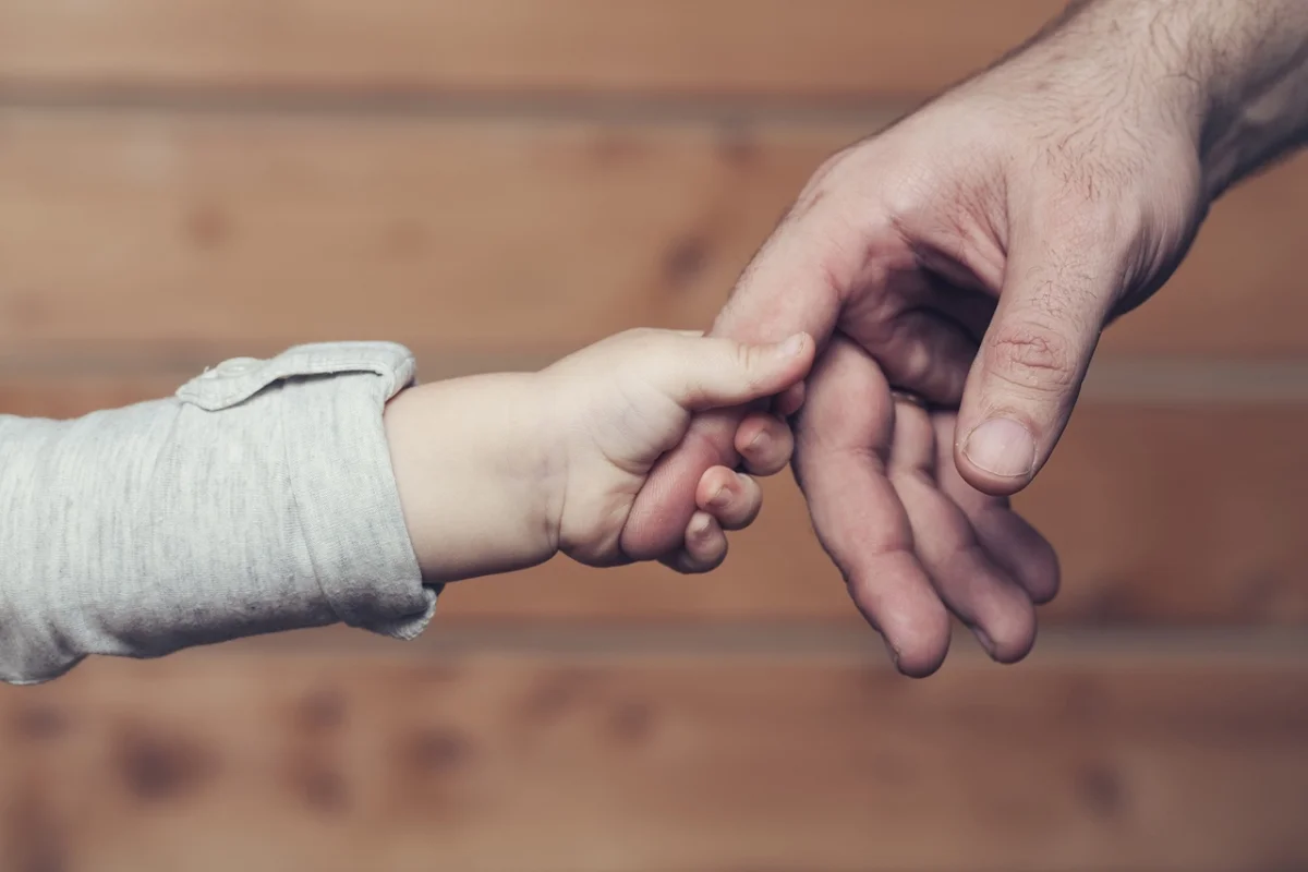 Фото: pixabay.com