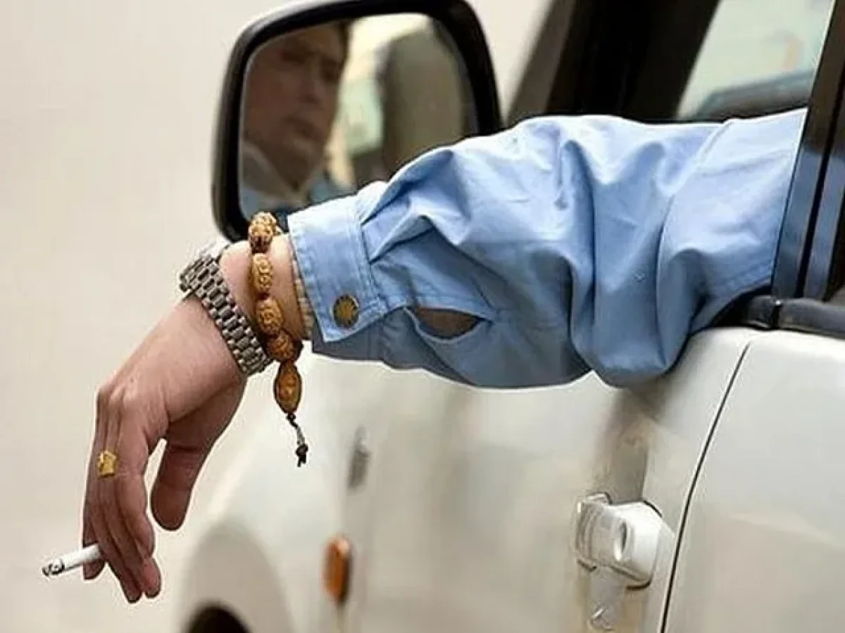 Фото: timiryazevskiy.mos.ru