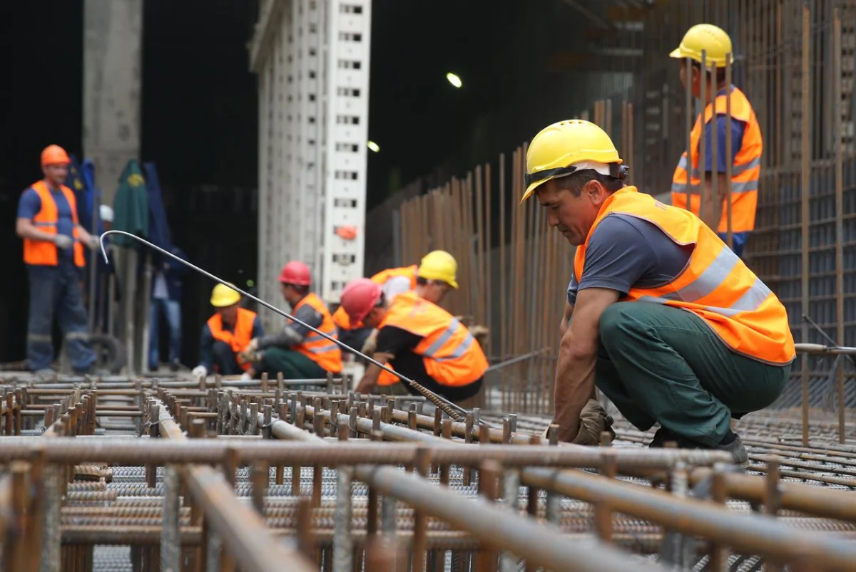 Фото: Донат Сорокин / ТАСС