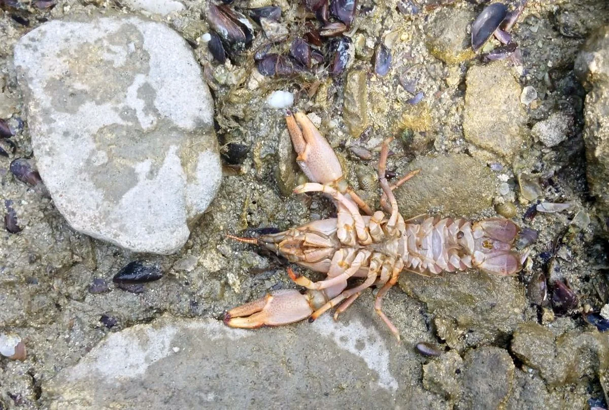 Фото местных жителей