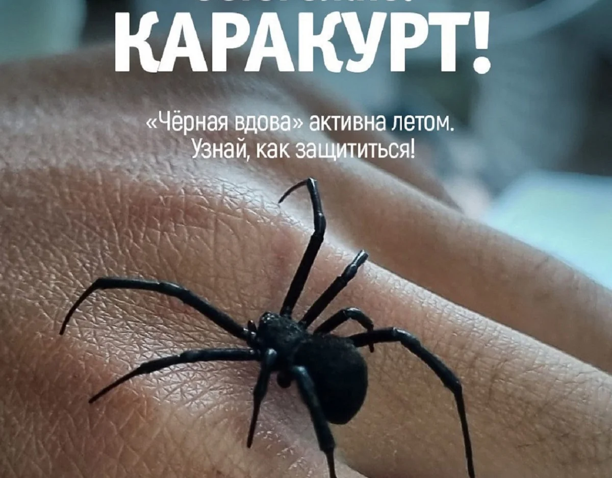 Фото Института зоологии РК