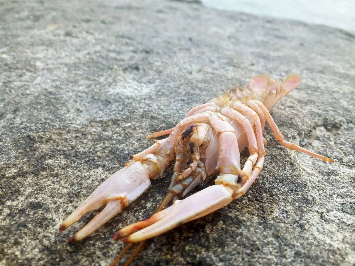 Фото местных жителей