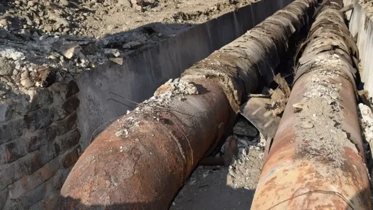 Фото: пресс-служба акимата ЗКО