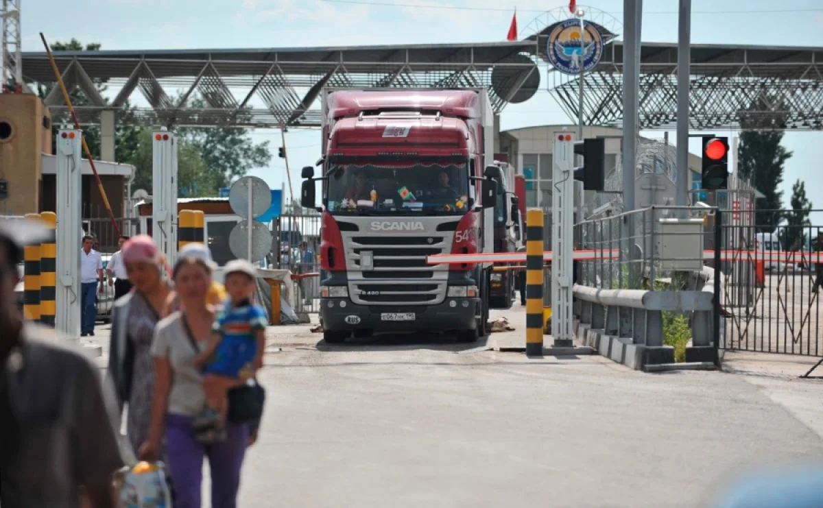 Фото: Владимир Третьяков / Shutterstock