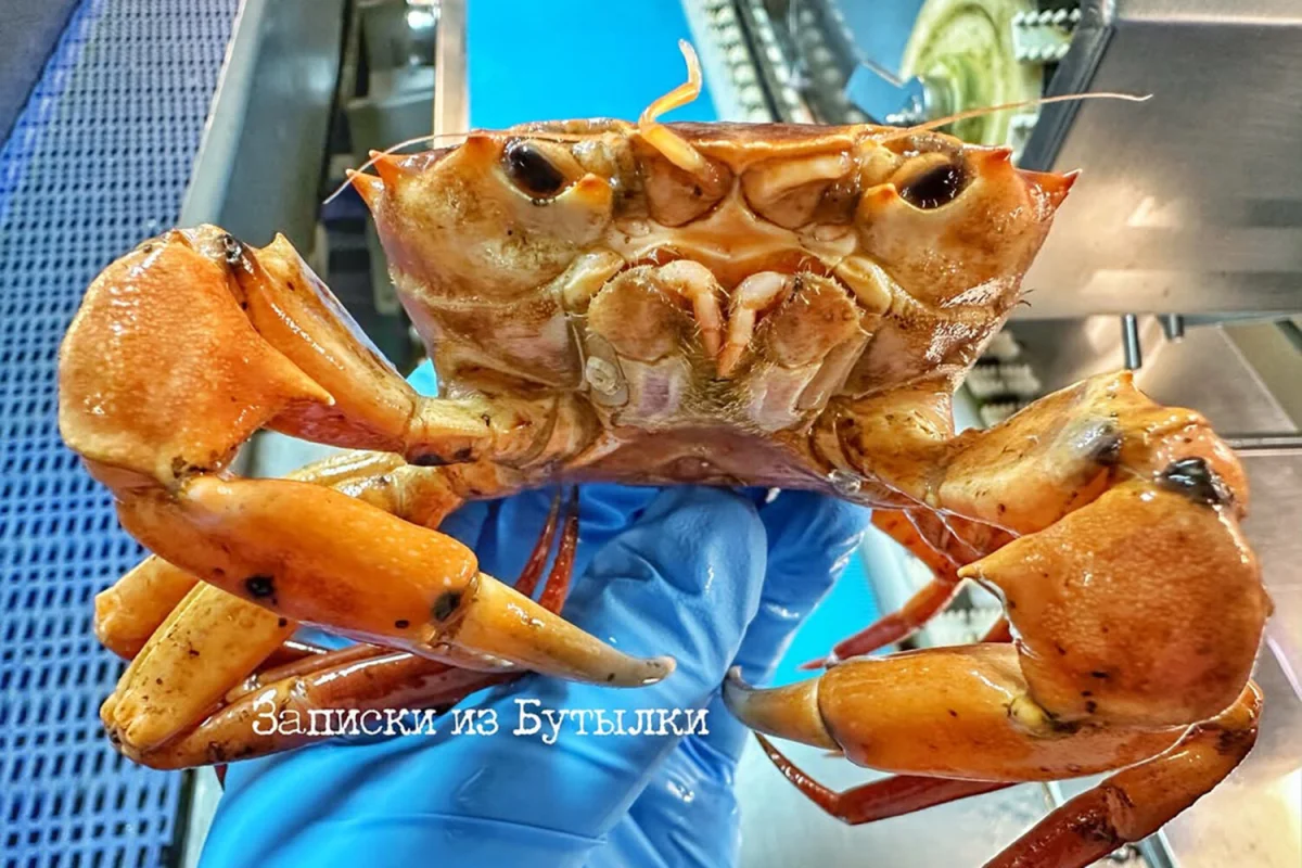 Фото: rfedortsov_official_account/Instagram