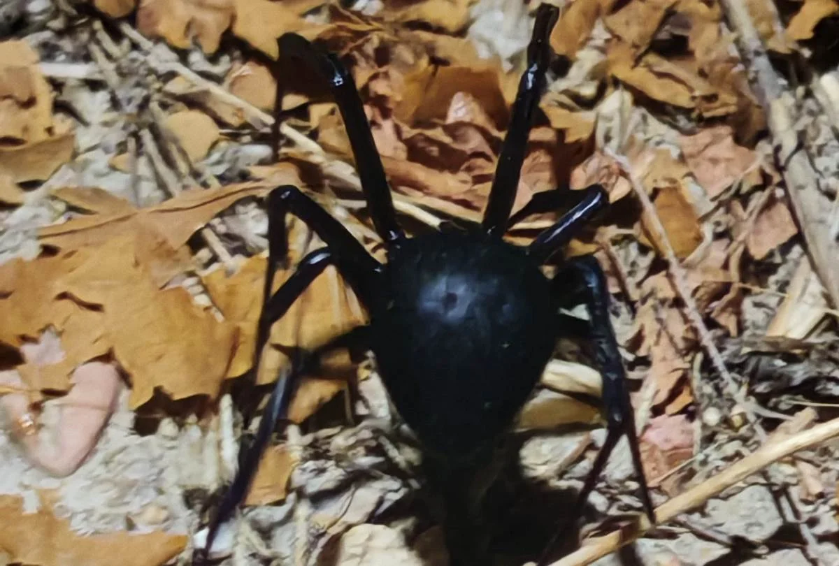 Фото местных жителей