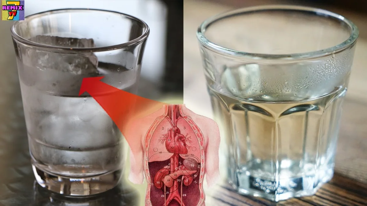 Фото: kasheloff.ru