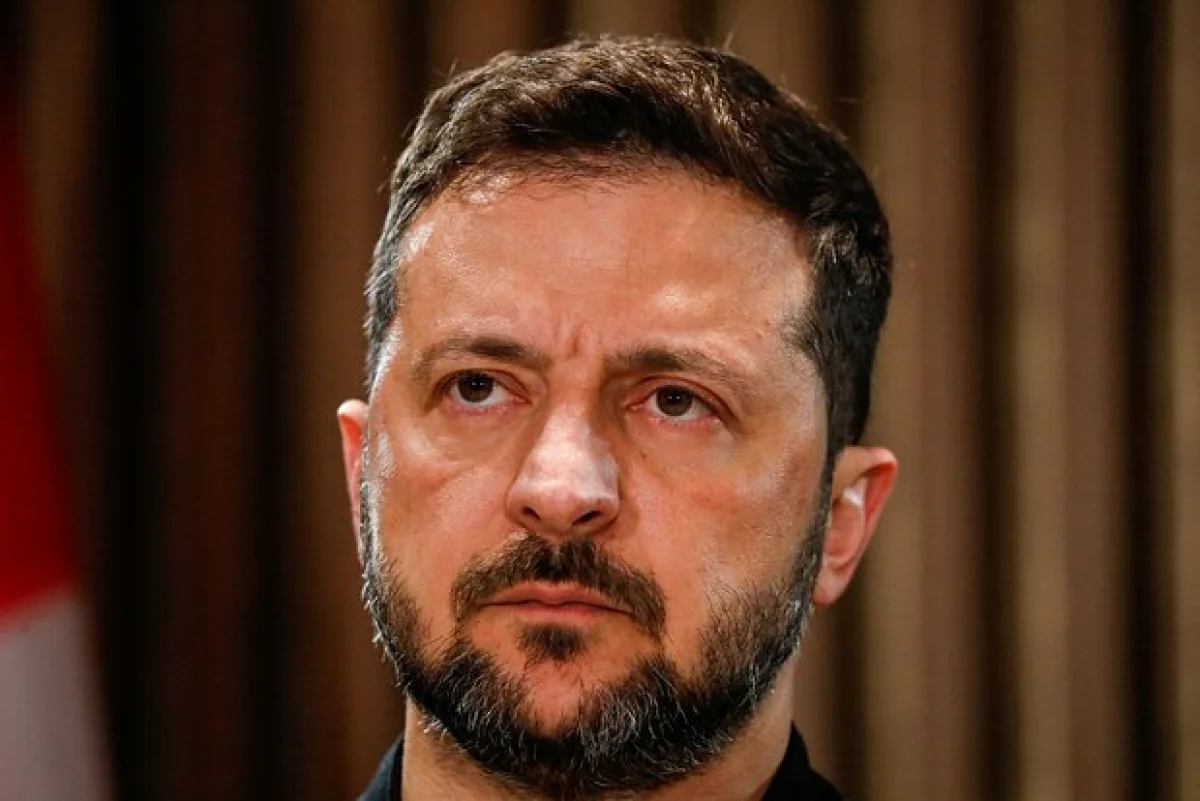 Фото: Amber Bracken / Reuters