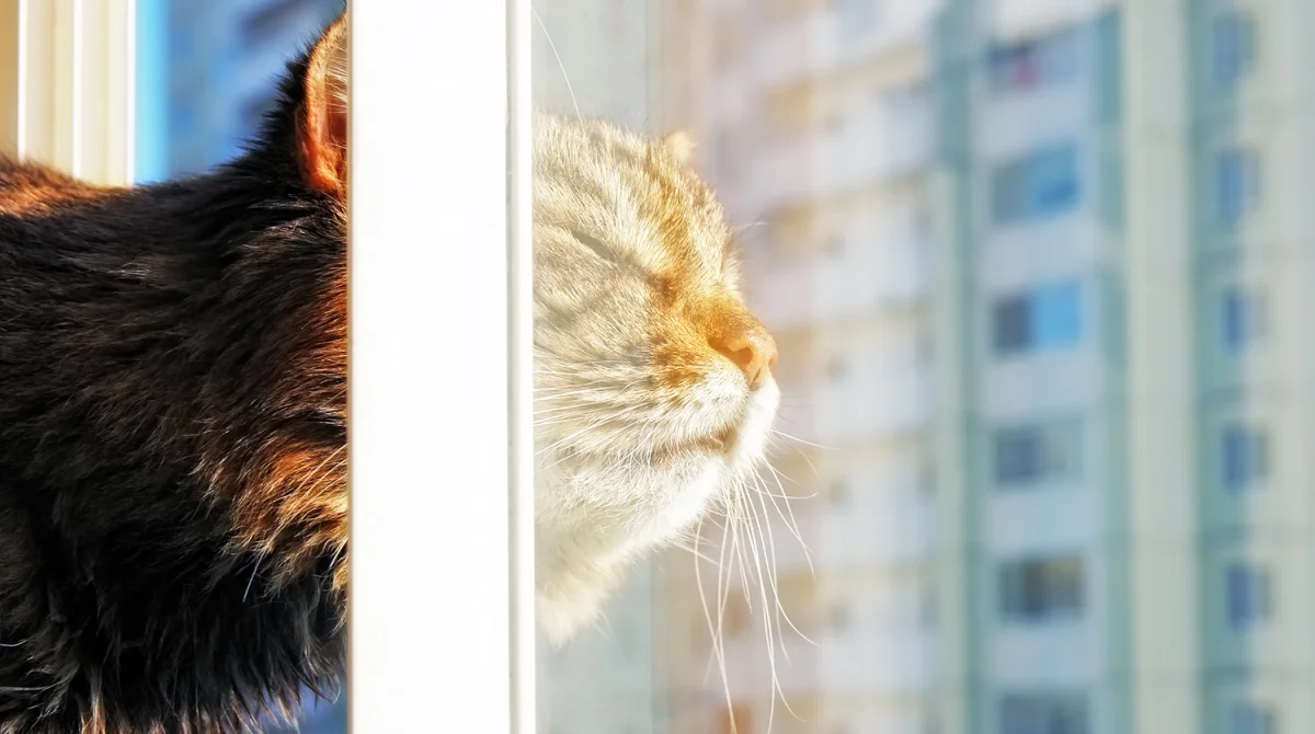 Фото: Depositphotos