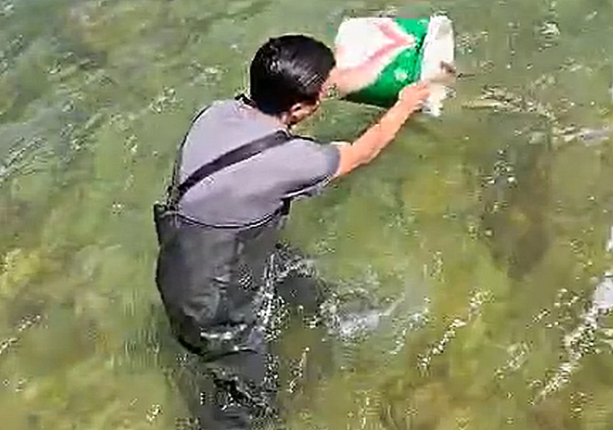 Фото: кадр видео