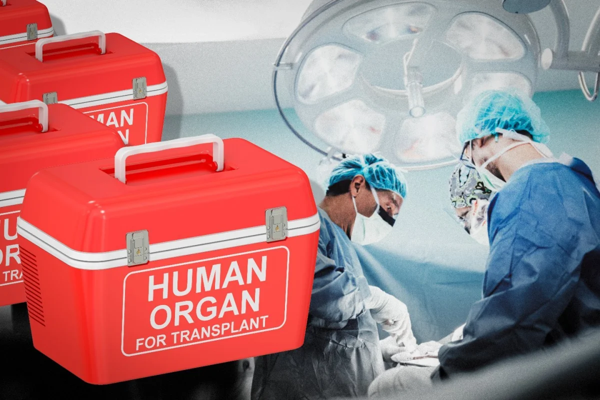 Фото: news.myseldon.com