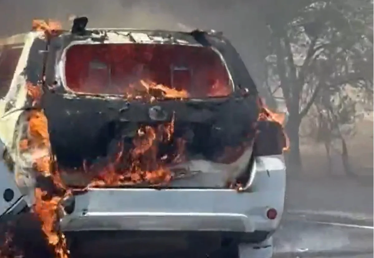 Фото: кадр видео