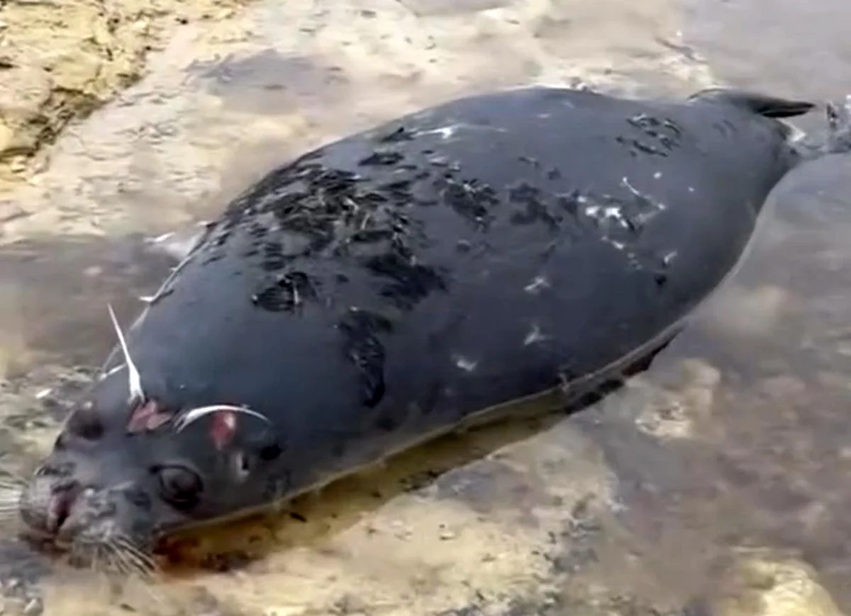 Фото местных жителей