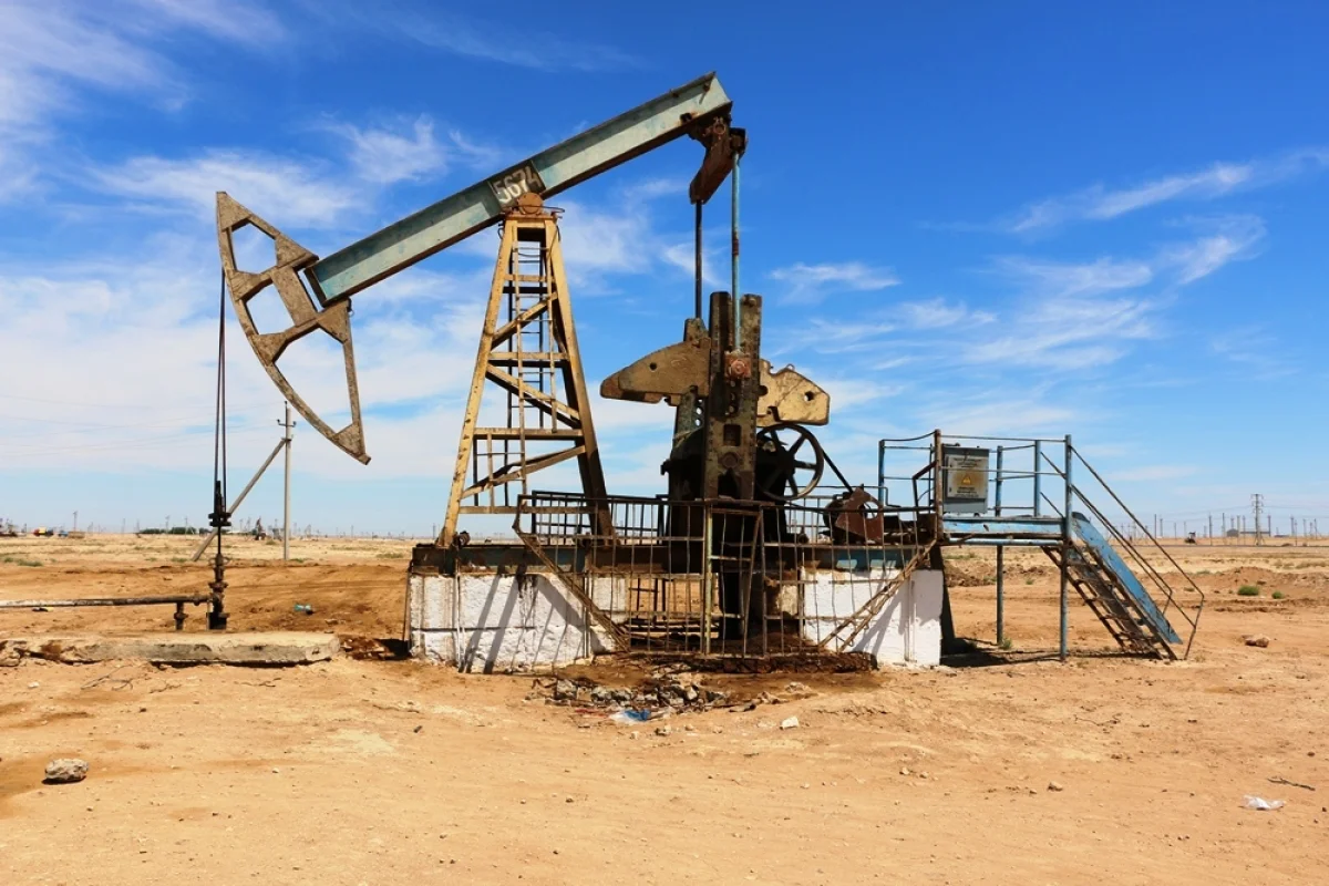 Фото: yvision.com