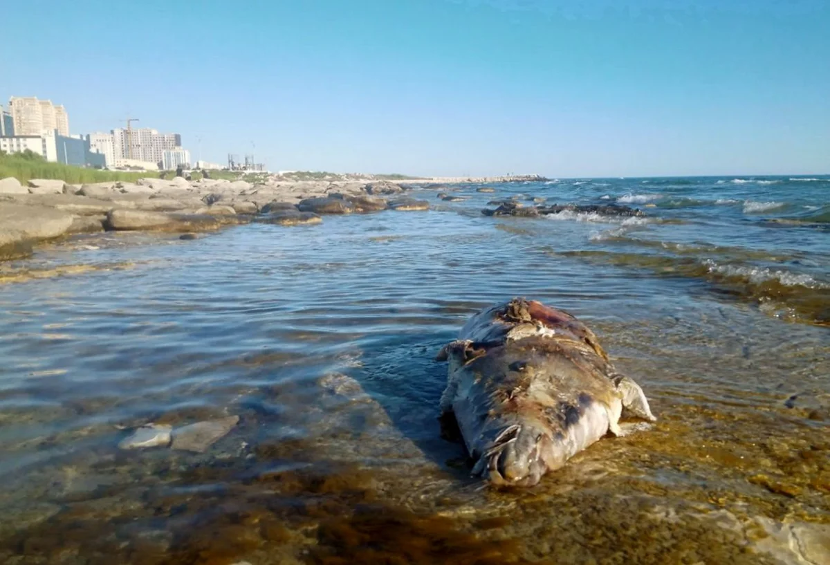 Фото жителей 14 микрорайона