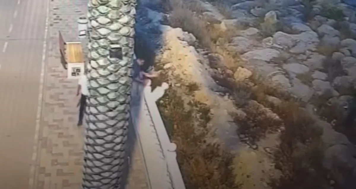 Скриншот из видео