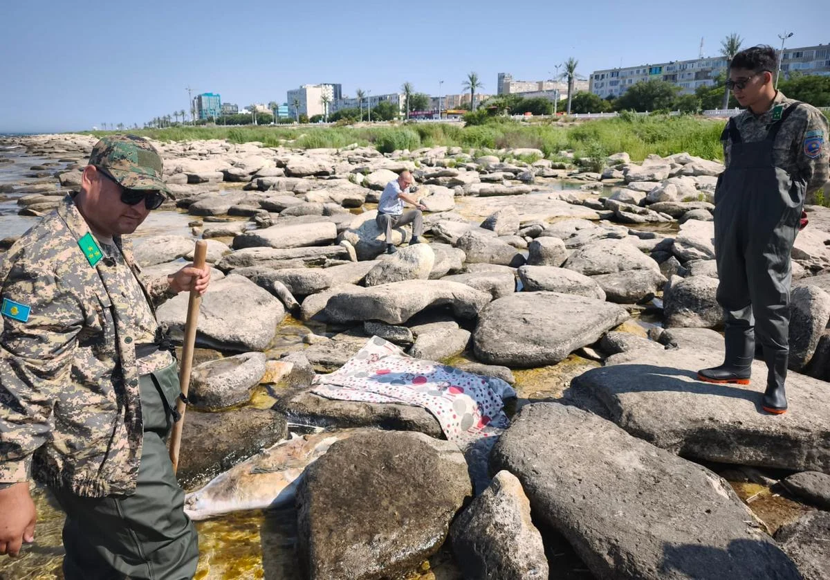 Фото предоставила Служба по охране животного мира Управления рыбного хозяйства Мангистауской области