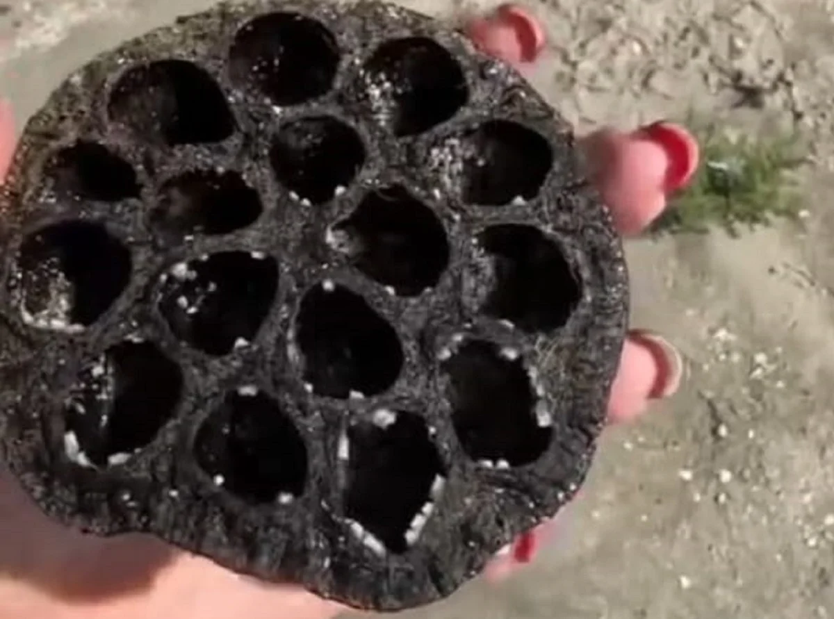 Фото; стоп-кадр из видео