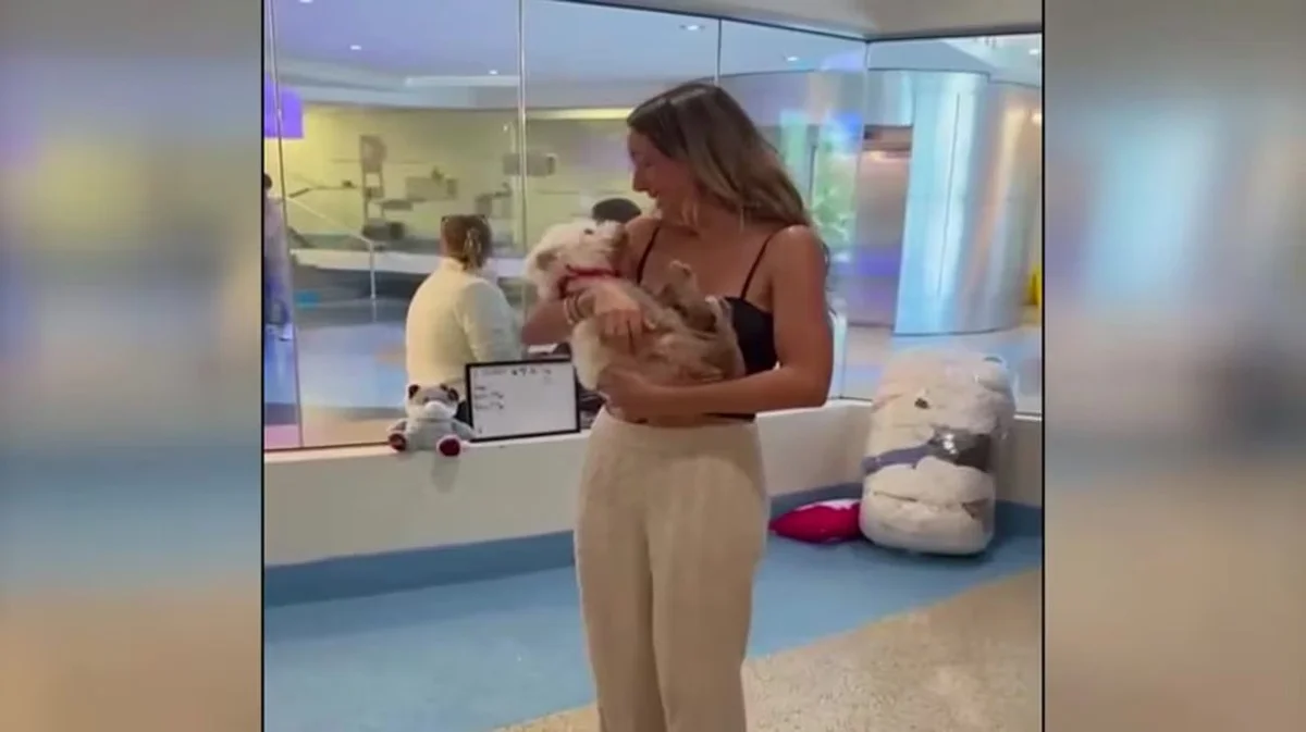 Фото: WPLG Local 10 / ABC News