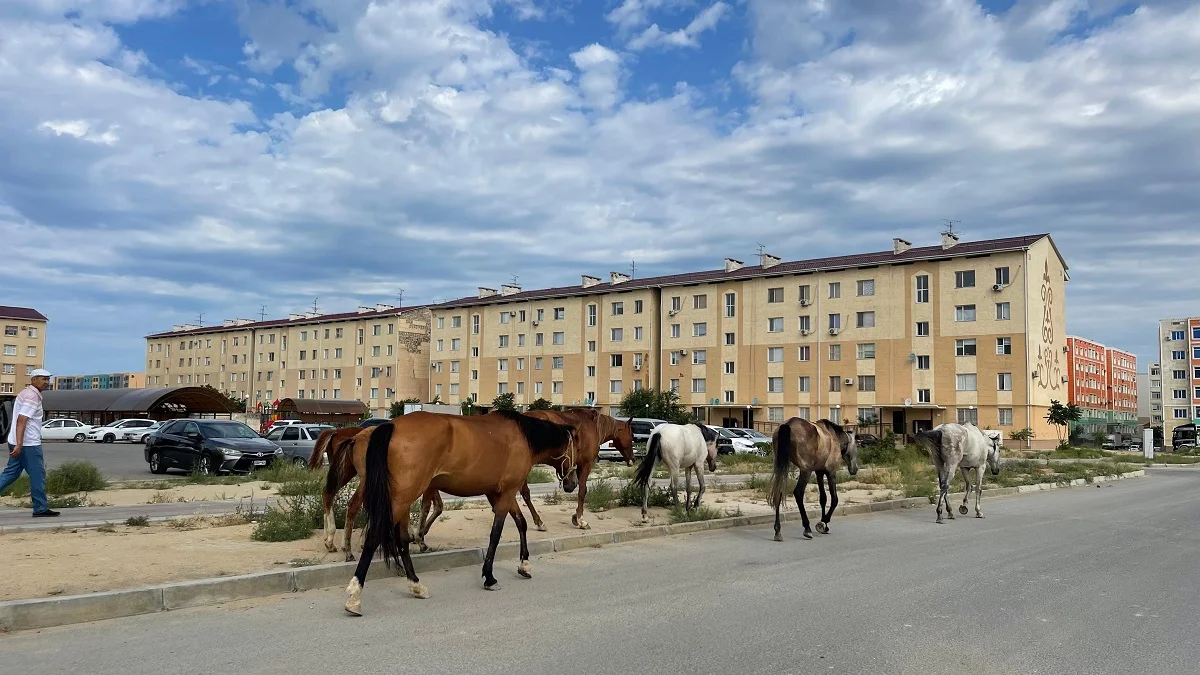Фото жителей Актау