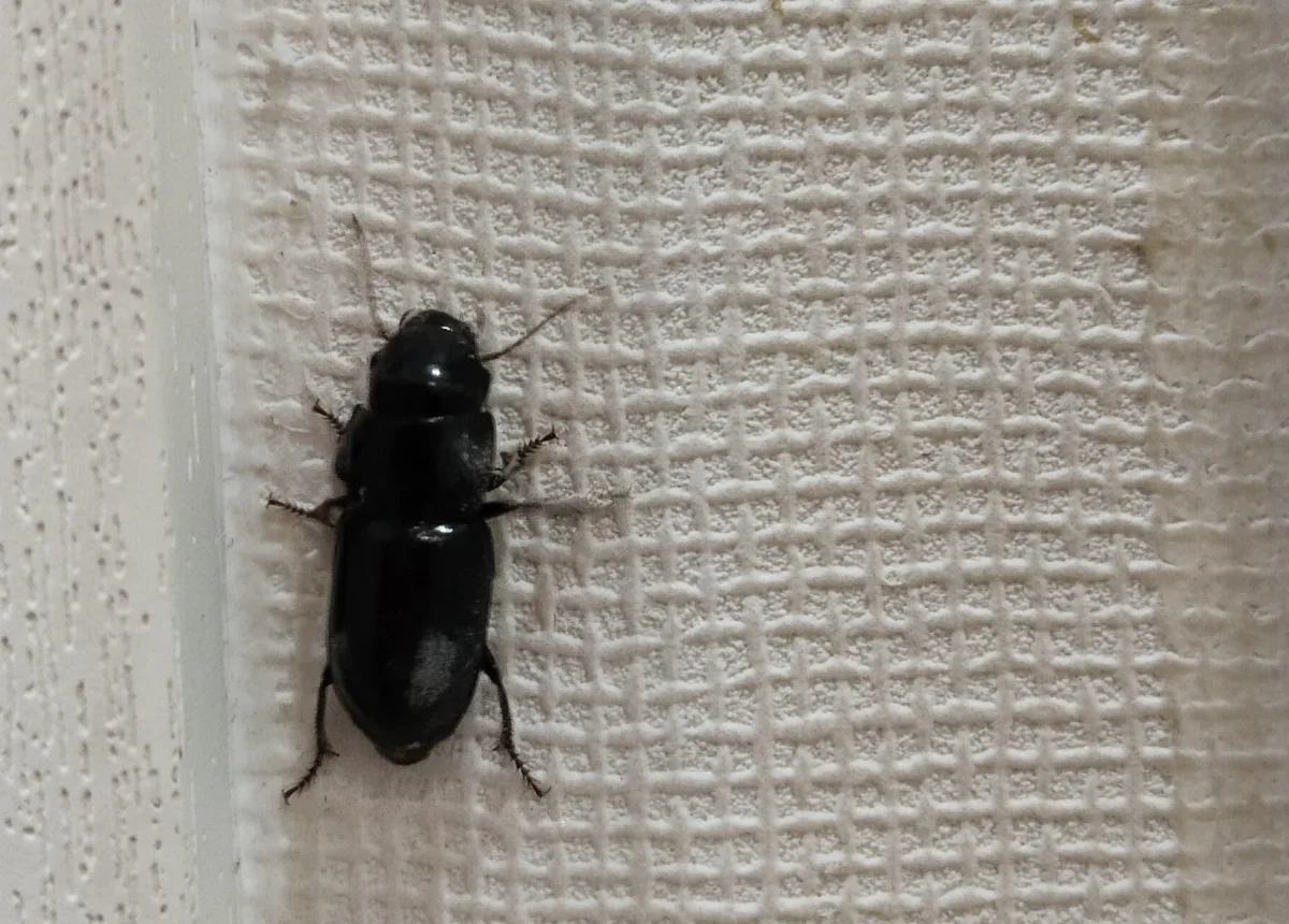 Фото жителей Актау