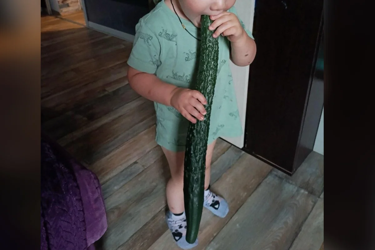 Фото: Сиб.фм