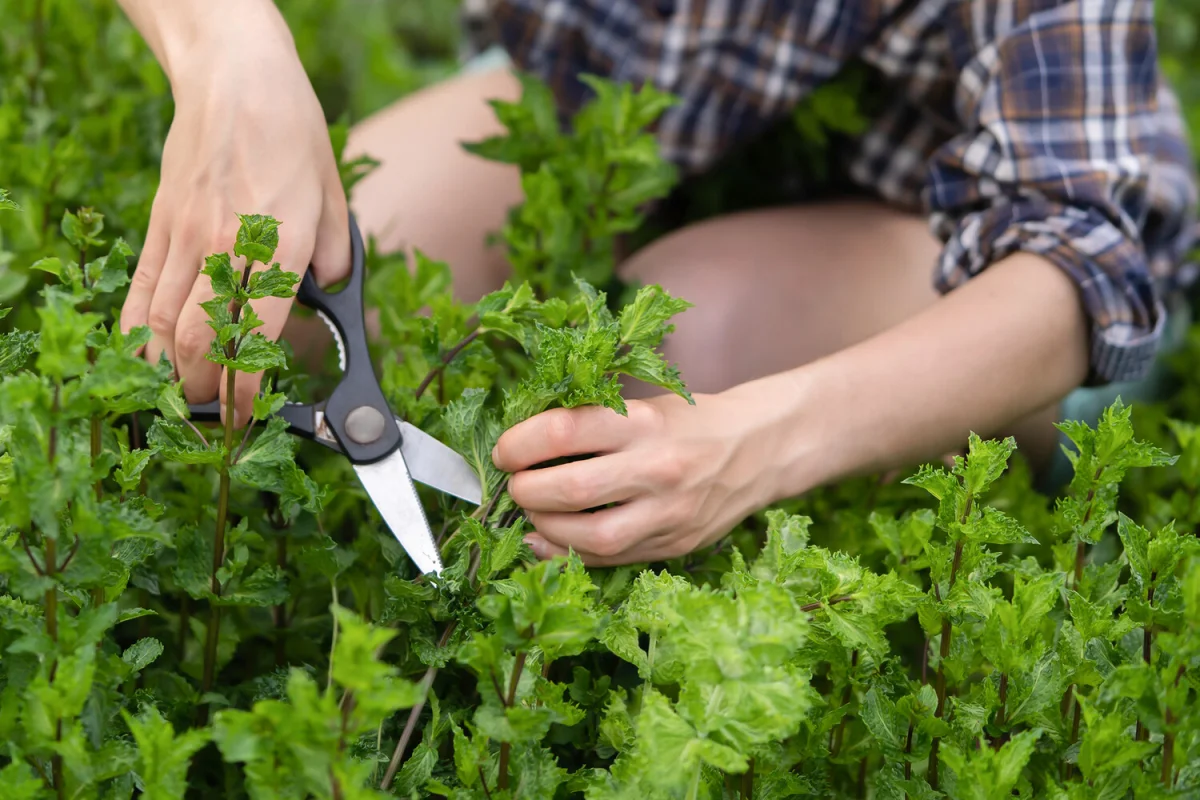 Фото: africa_pink/Shutterstock/FOTODOM