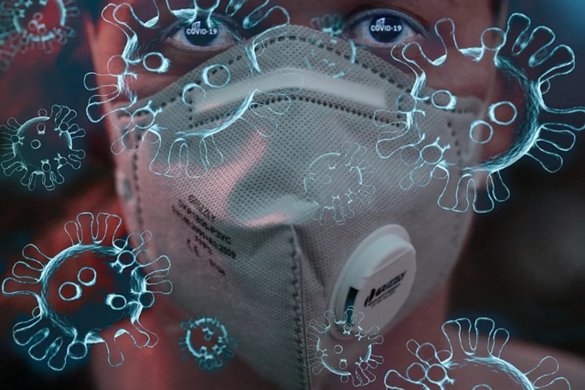 Фото pixabay.com