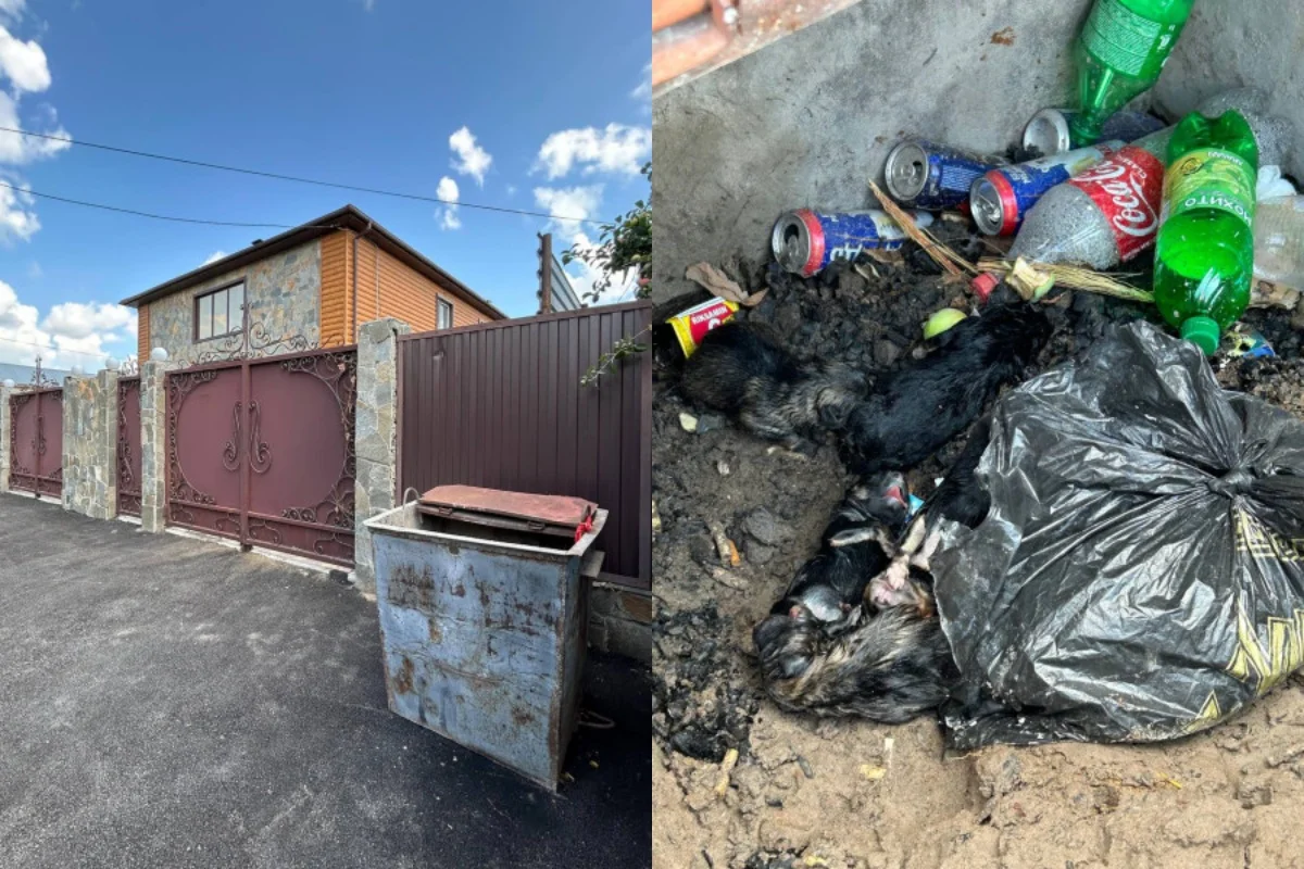 Фото очевидицы