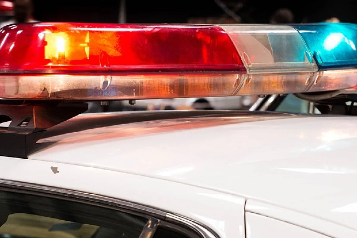 Фото: PhotopankPL / Shutterstock / Fotodom