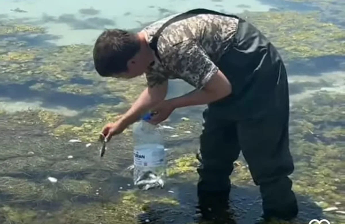 Фото: стоп-кадр из видео