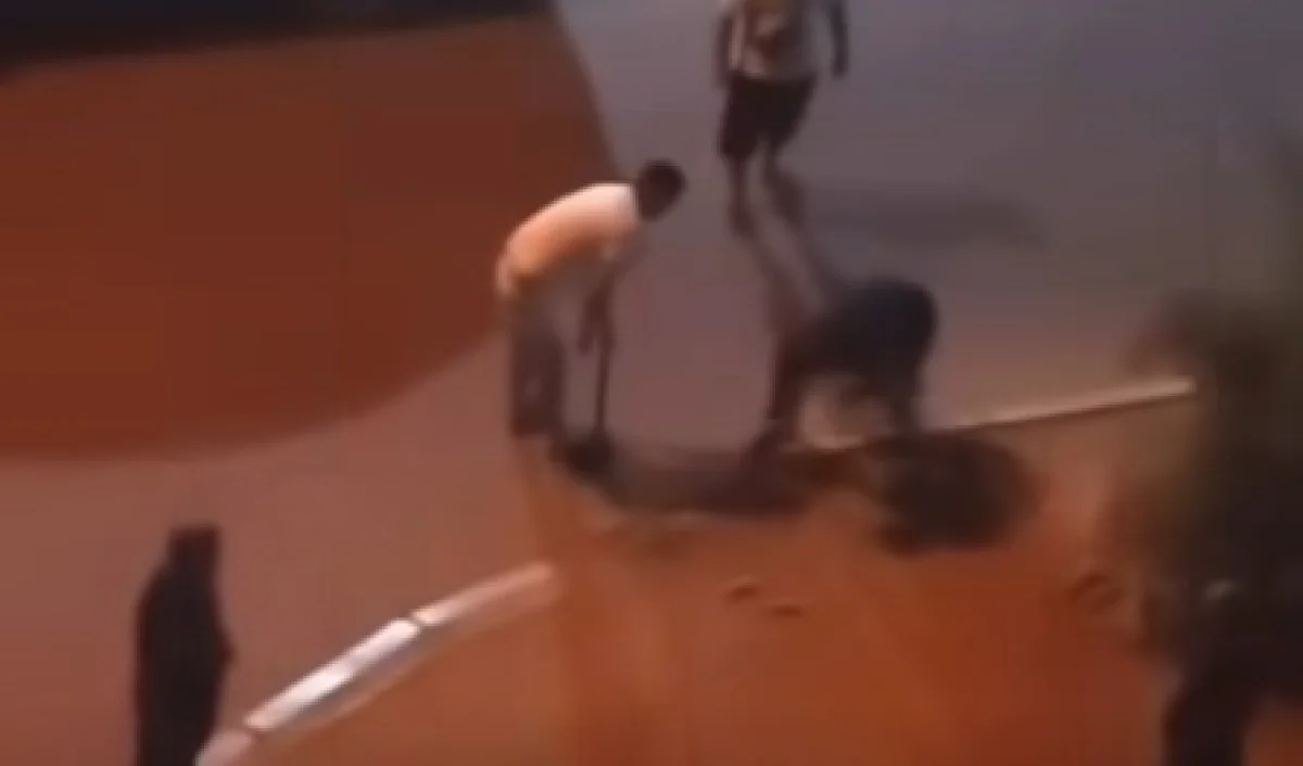 Скриншот из видео